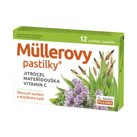 12537_MULLEROVY PASTILKY S JITROCELEM A MATERIDOUSKOU 12KS